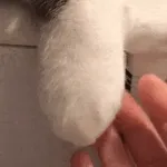 해 볼까해 볼까해 볼까?