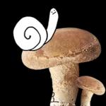 이야기 꽃이 피었습니다 