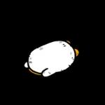 언제나
과
이
가득하길
88