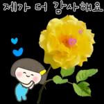 감사합니다🌹🌺