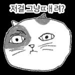 점냥아 오늘만 참자