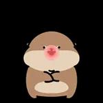 오동통통 서달이 등장! 7 