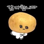 청과물 그리고 눈빛