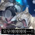 냥이짤방.jpg