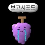 3D 과채친구들