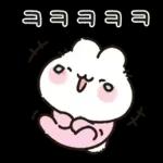 사랑둥이 애기토끼 앙토!