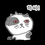 점냥아 오늘만 참자