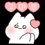 오늘도 포근하다냥