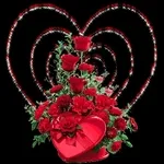 ❤️🌹진심과 장미	너에게만～