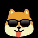 포근포근 담요 좋아하는 담밍이