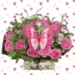 🌹	장미보다 예쁜 너