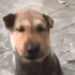 해 볼까해 볼까해 볼까?