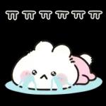 사랑둥이 애기토끼 앙토!