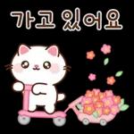 뿌니의 예쁜 꽃인사