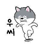 가고 있어~!!!!