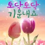 플라워힐링메세지 2