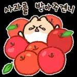 말랑뽀짝 냐냐들의 일상