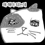 점냥아 오늘만 참자