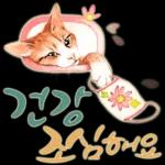 늘, 함께해요.. 반려묘의 사랑메세지