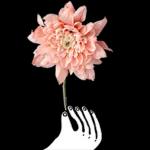 이야기 꽃이 피었습니다 