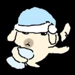 흘긋흘긋 털강아지