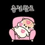 콩닥콩닥 사랑둥이 햄뚜둥이