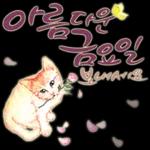 늘, 함께해요.. 반려묘의 사랑메세지