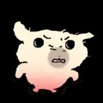 흘긋흘긋 털강아지