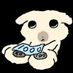 흘긋흘긋 털강아지