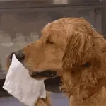 오늘 하루, 사랑도 돈도 다 잡을 거예요!