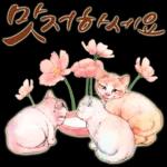 늘, 함께해요.. 반려묘의 사랑메세지