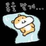 햄수탑니다! 6