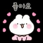 사랑둥이 애기토끼 앙토!