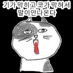 점냥아 오늘만 참자