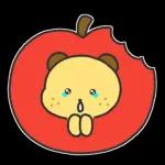 알감자곰의 일상