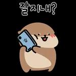 오동통통 서달이 등장! 7 