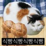 냥이짤방.jpg