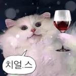 냥이짤방.jpg