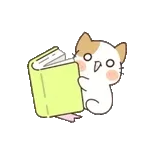 장미 한송이 드려요~!!!