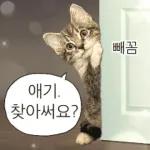 냥이짤방.jpg