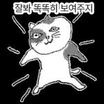 점냥아 오늘만 참자