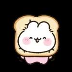 사랑둥이 애기토끼 앙토!