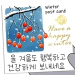 눈눈눈 흰눈이 왔어요~