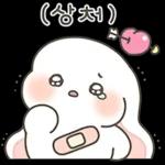 귀염 샤방 토끼 샤니