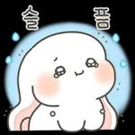 귀염 샤방 토끼 샤니