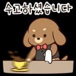 수고하셨습니다~