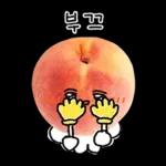 청과물 그리고 눈빛