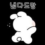 매력뿜뿜 쪼꼬미 하루
