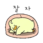 🧸꿈나라 여행 시작~🧸	잘자용~✨