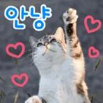 고양이다냥